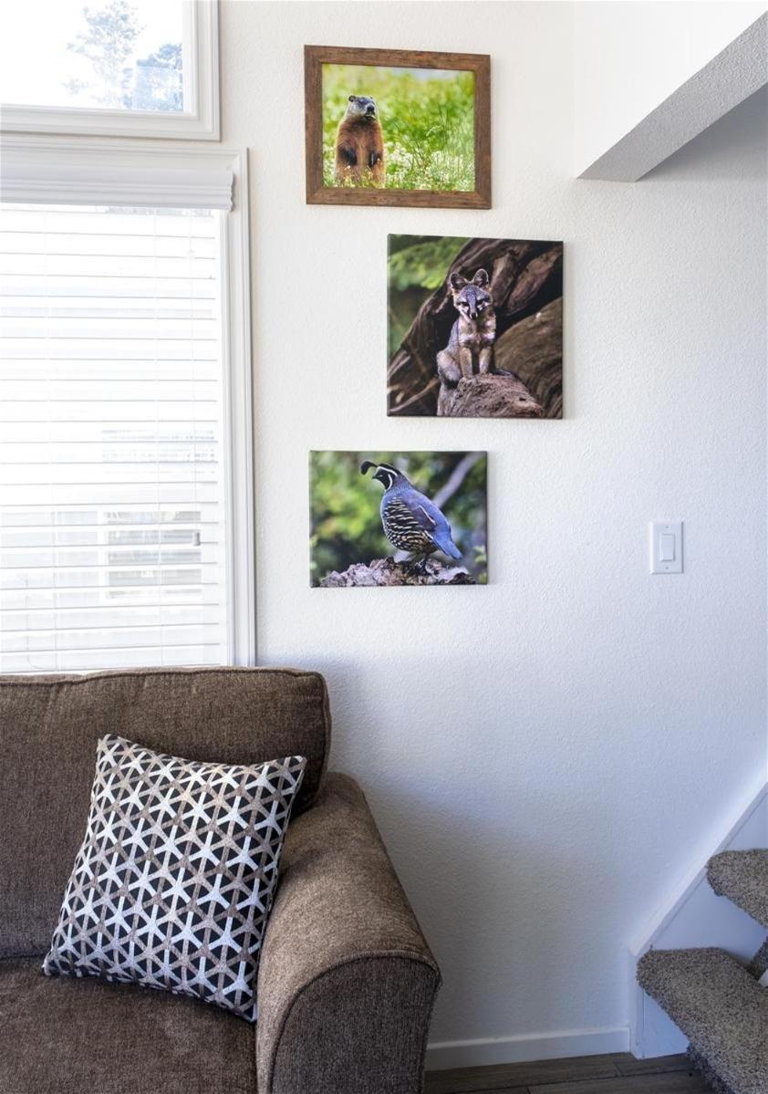 Woodchuck Flat Villa ฟอร์ตแบรก ภายนอก รูปภาพ